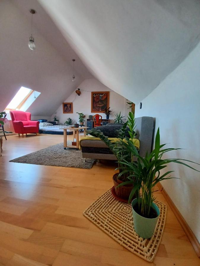 Artist Apartment บันสกาบิสตรีตซา ภายนอก รูปภาพ